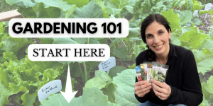 Beginner gardening 101