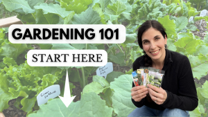 Beginner gardening 101